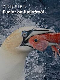Fuglar og fuglafrøði