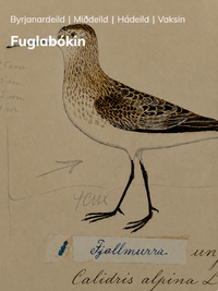 Fuglabókin