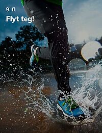 Flyt teg