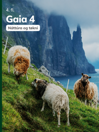 Gaia 4