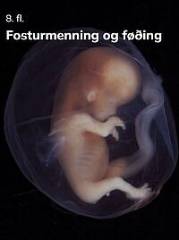 Fosturmenning og føðing