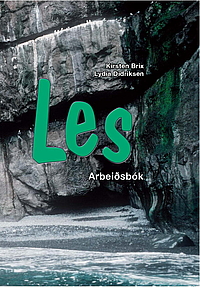 Les 3 - Arbeiðsbók
