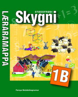 Skygni 1B - Læraramappa
